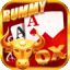 rummy circle app download apkpure